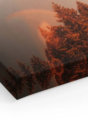 Diablo Lake Canvas print